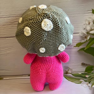 May include: A crocheted mushroom plush toy with a pink body and a green and white spotted cap.