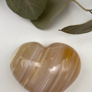 Flower Agate Hearts