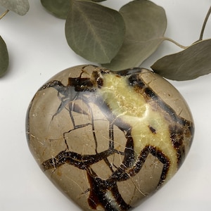 Septarian Heart
