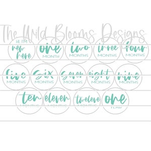 Baby Milestone Marker SVG, Newborn Announcement svg, svg baby marker, Baby Milestone Disc Template svg, Solo archivo digital, Baby Milestones