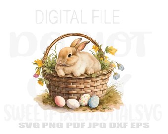 Påskkorghare. Påskkorg. Hare. Digital. Direkt digital nedladdning. Png. Sublimering.