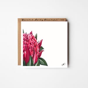 Waratah Flower,All Occasion Greetings,Christmas Xmas Card,Birthday Card for her,Thank you Card,Mother’s Day Card,Unique Hand Drawn Art Card