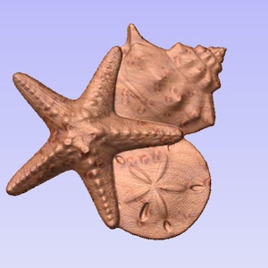 Puede incluir: Una composición de bronce que representa una estrella de mar, una concha y un dólar de arena. La estrella de mar tiene cinco brazos y una superficie texturizada. La concha tiene forma de espiral. El dólar de arena es redondo con un patrón de estrella.