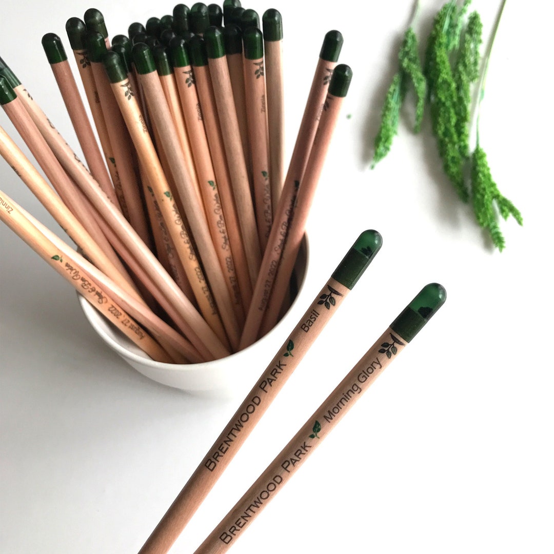 Box 3 matite ecologiche piantabili - Sprout