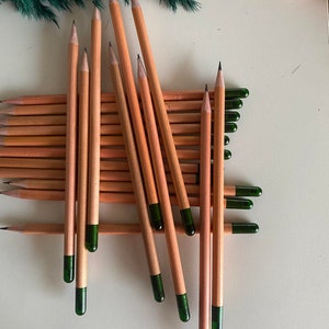 Matita personalizzata per semi, matita piantabile, matite da coltivazione, bomboniere a forma di matita, matita sostenibile, matita souvenir, regalo per vivaio, regalo funebre