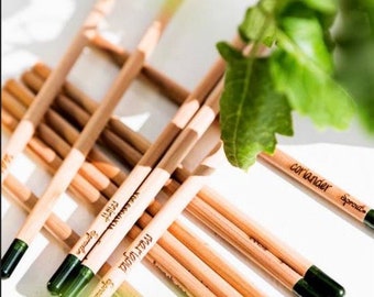 Let Love Grow, Personalized Seed Pencil, Christening Eco-Friendly Gift, Eco Gifts Bulk, Plantable Wooden Pencils, Baptism Seed Pencil Favors