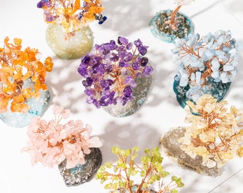 Wholesale Lot Natural Mixed Crystal Tree with Agate Bottom Healing Crystal(8pcs a Set)