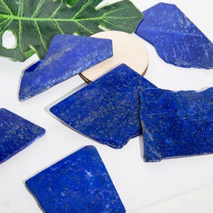 May include: A collection of irregularly shaped, deep blue lapis lazuli stones with flecks of gold. The stones are arranged on a white surface, with a wooden circle and a green leaf in the background. The stones vary in size and shape.
