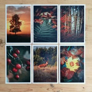 Herbst Postkarten | schöne Herbstbilder | Herbstmotive | Herbst Postkarten | Fotokarten Herbst | Kartenset Herbst