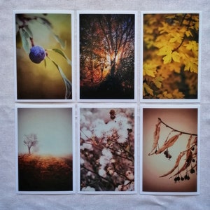 Herbst Postkarten | schöne Herbstbilder | Herbstmotive | Herbst Postkarten | Fotokarten Herbst | Kartenset Herbst