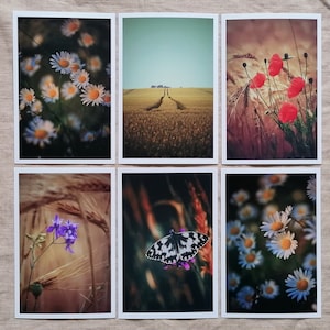 Postkarten Set Natur | Fotopostkarten Naturfotografie | schöne Postkarten | Geburtstagskarten | Grußkarten | Wanddekoration | Landleben