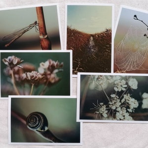 Postkarten Set Natur | Fotopostkarte | Postkarte Vintage | Naturfotografie | Wanddeko | Geschenkkarte | Grußkarte | Botanik | Libelle