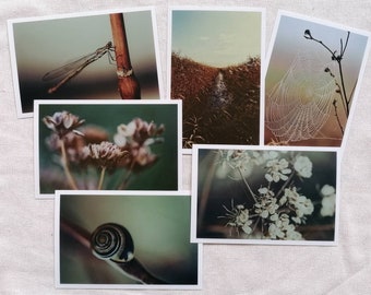 Postcard Set Nature | Photo postcard | Postcard Vintage | Nature Photography | wall decoration | gift card | greeting card | Botany | dragon-fly