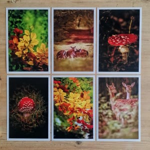 Herbst Postkarten | schöne Herbstbilder | Herbstmotive | Herbst Postkarten | Fotokarten Herbst | Kartenset Herbst