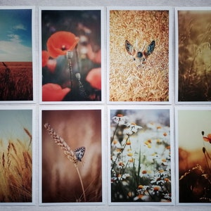 Postkarten Set Natur | Fotopostkarten Naturfotografie | schöne Postkarten | Geburtstagskarten | Grußkarten | Wanddekoration | Landleben