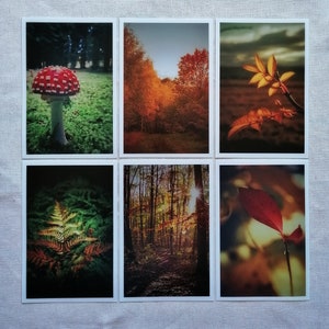 Herbst Postkarten | schöne Herbstbilder | Herbstmotive | Herbst Postkarten | Fotokarten Herbst | Kartenset Herbst