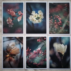 Frühlingskarten | Gruß zum Frühlingsanfang | Karte Frühling | Frühlingsgrüße Bilder | Botanik | Grußkarte | Geschenk | Postkarten Set Natur