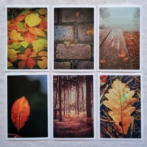 Herbst Postkarten | schöne Herbstbilder | Herbstmotive | Herbst Postkarten | Fotokarten Herbst | Kartenset Herbst