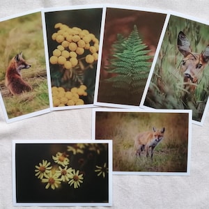 Postkarten Set  Natur | Fotopostkarte | selbstgemachte  Postkarten | schöne Postkarten Natur | Tierpostkarten | Botanik | Vintage | Geschenk