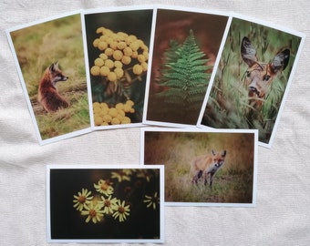 Postkarten Set  Natur | Fotopostkarte | selbstgemachte  Postkarten | schöne Postkarten Natur | Tierpostkarten | Botanik | Vintage | Geschenk