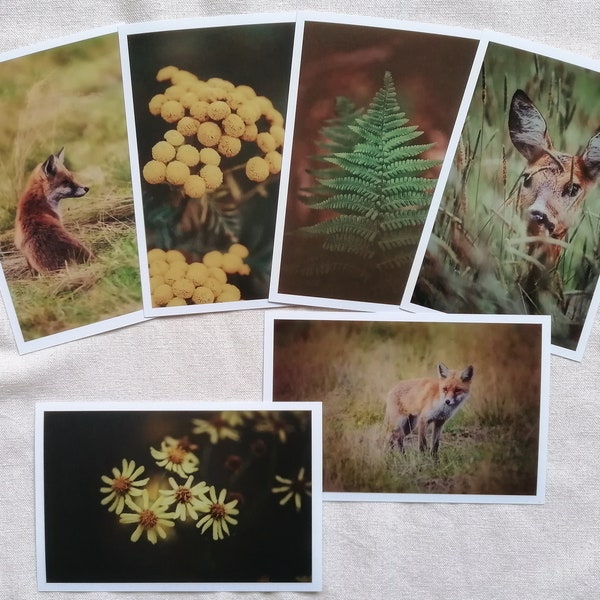 Postkarten Set  Natur | Fotopostkarte | selbstgemachte  Postkarten | schöne Postkarten Natur | Tierpostkarten | Botanik | Vintage | Geschenk