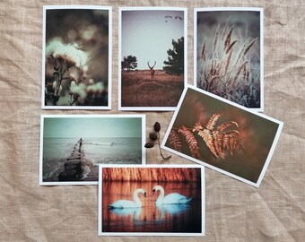 Postcard Set Nature | Animal Postcards | Postcard Photography | Art of Nature | Wall decoration | Botany | Vintage | Gift