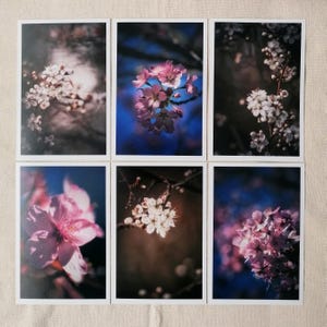 Frühlingskarten | Gruß zum Frühlingsanfang | Karte Frühling | Frühlingsgrüße Bilder | Botanik | Grußkarte | Geschenk | Postkarten Set Natur