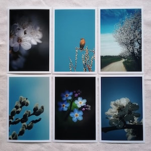 Frühlingskarten | Gruß zum Frühlingsanfang | Karte Frühling | Frühlingsgrüße Bilder | Botanik | Grußkarte | Geschenk | Postkarten Set Natur