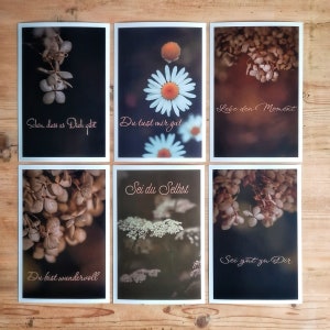 Postkarten Set Natur | Motivationskarten mit Sprüchen | Postkarten Set Natur | Postkarten Set Sprüche | Ermutigungssprüche | Achtsamkeit