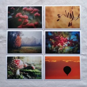 Herbst Postkarten | schöne Herbstbilder | Herbstmotive | Herbst Postkarten | Fotokarten Herbst | Kartenset Herbst