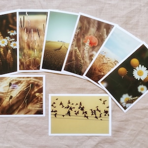 Postkarten Set Natur | Fotopostkarte | Postkarte | Natur | Summer Vibes | Geburtstagskarten | Grußkarten | Wanddekoration | Landleben
