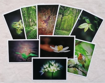 Postcard Set Nature | Photo Postcards Nature Photography | Animal Postcards Spring | Wall decoration | Botany | Maps Forest | Art of Nature