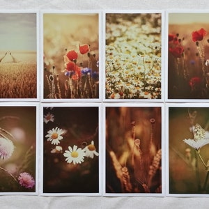 Postkarten Set Natur | Fotopostkarten Vintage | Postkarten Fotografie | Natur | Summer Vibes | Geburtstagskarten | Wanddekoration