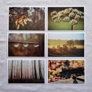 Herbst Postkarten | schöne Herbstbilder | Herbstmotive | Herbst Postkarten | Fotokarten Herbst | Kartenset Herbst