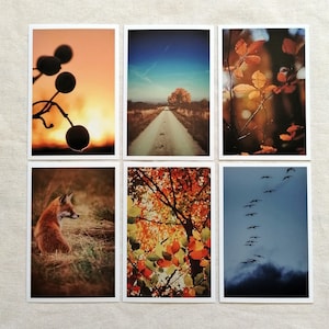 Postkarten Set Natur | Fotopostkarte Herbst | Naturfotografie | Wanddekoration | Botanik | Vintage | Geschenkkarte |