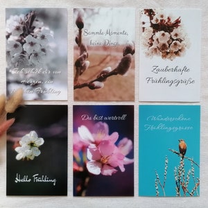 Frühlingskarten | Gruß zum Frühlingsanfang | Karte Frühling | Frühlingsgrüße Bilder | Botanik | Grußkarte | Geschenk | Postkarten Set Natur