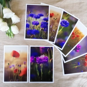 Postkarten Set  Natur | Mohnblumen Bilder Geschenk | Kornblumen | schöne Postkarten | Geburtstag  | Wanddekoration | Blumen | Grußkarte