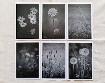 Postkarten schwarz weiß | Fotopostkarte schwarz weiß | Postkarten Set Natur | Postkarten Trauer | Beileid wünschen | schwarz weiß Fotografie