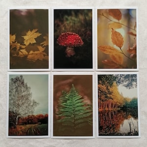Herbst Postkarten | schöne Herbstbilder | Herbstmotive | Herbst Postkarten | Fotokarten Herbst | Kartenset Herbst