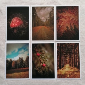 Postkarten Set Natur | Postkarte Herbst | Naturfotografie | Wanddekoration | Fotopostkarte Herbst Impressionen | Geschenkkarte |