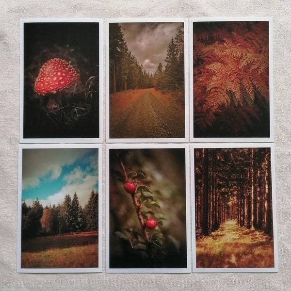 Postkarten Set Natur | Postkarte Herbst | Naturfotografie | Wanddekoration | Fotopostkarte Herbst Impressionen | Geschenkkarte |