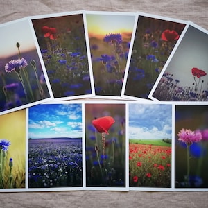 Postkarten Set Natur | Postkarten Blumen | Blumenkarten | Blumen Motive | besonderes Geschenk | Mohnblumen | Kornblumen