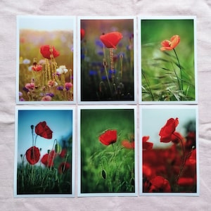 Postkarten Set Natur | Natur Postkarten | Mohnblumen Bilder | schöne Bilder Natur | Fotopostkarte | Bilder von Mohnblumen | Geschenkidee