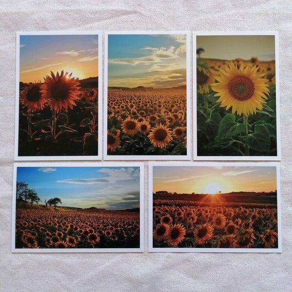 Postkarten Set Natur | Fotopostkarten Naturfotografie | Sonnenblumen Karten | Geburtstagskarten | Grußkarten | Wanddekoration | Landleben