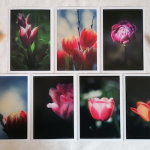 Postkarten Set Botanik | Blumenkarten | Postkartenset Blumen Fotos |  Foto Naturfotografie | Karten Blumen | Geburtstagskarte Blumen