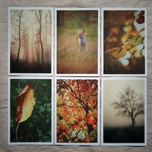 Postkarten Set Natur | Postkarte Herbst | Naturfotografie | Wanddekoration | Fotopostkarte Herbst Impressionen | Geschenkkarte |