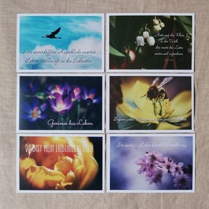 Frühlingskarten | Gruß zum Frühlingsanfang | Karte Frühling | Frühlingsgrüße Bilder | Botanik | Grußkarte | Geschenk | Postkarten Set Natur