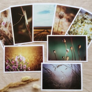 Postkarten Set Natur | Fotopostkarte | Postkarte | Natur | Summer Vibes | Geburtstagskarten | Grußkarten | Wanddekoration | Landleben