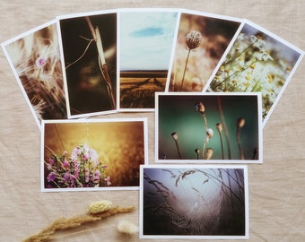 Postcard Set Nature | Photo postcard | Postcard | nature | Summer Vibes | Birthday Cards | Greeting Cards | wall decoration | Country Life