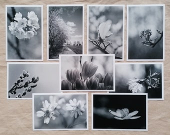 Postcards black and white | Postcard set black and white | wall decoration | Photo postcards | Nature photography black and white | Vintage | white flowers